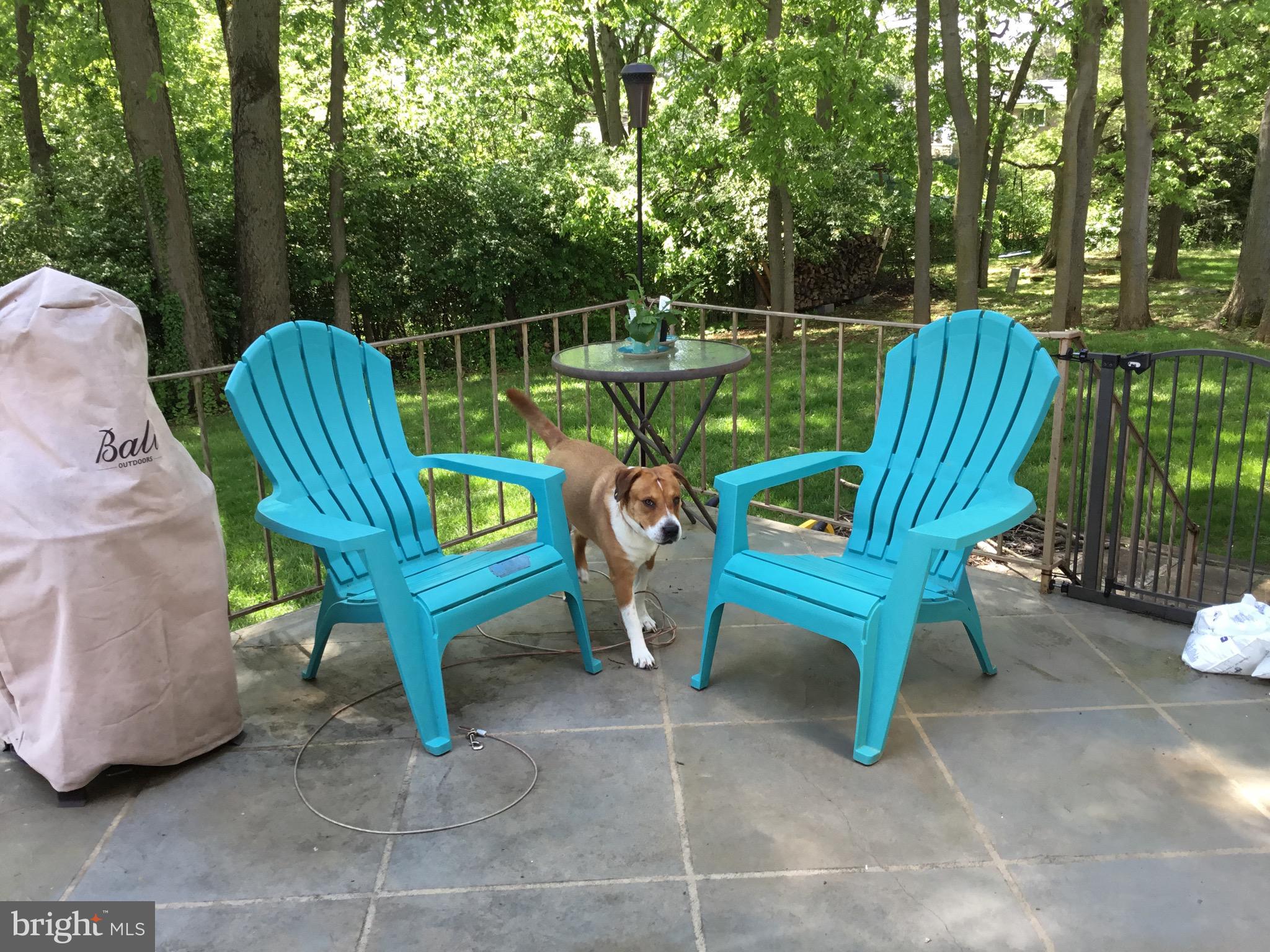 19607 Spring Creek Road Hagerstown, MD 21742 - Photo 24 of 54 Patio