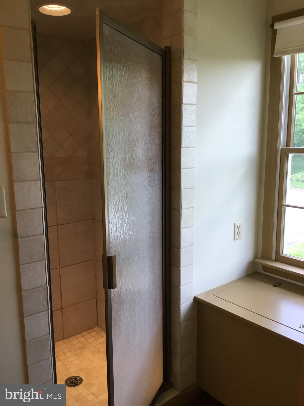 19607 Spring Creek Road Hagerstown, MD 21742 - Photo 36 of 54 primary Shower