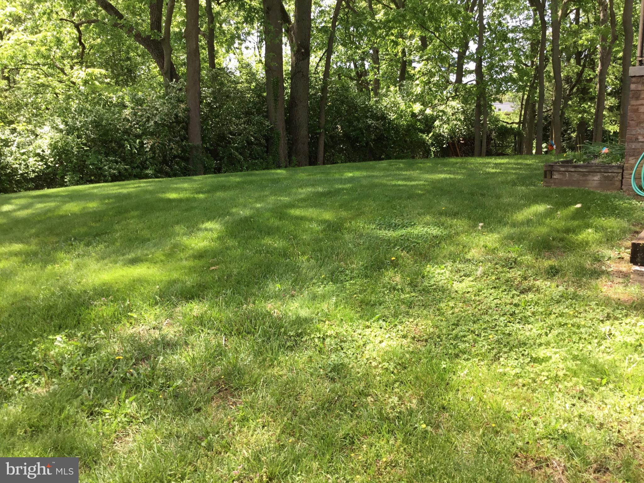 19607 Spring Creek Road Hagerstown, MD 21742 - Photo 54 of 54 Private rear yard