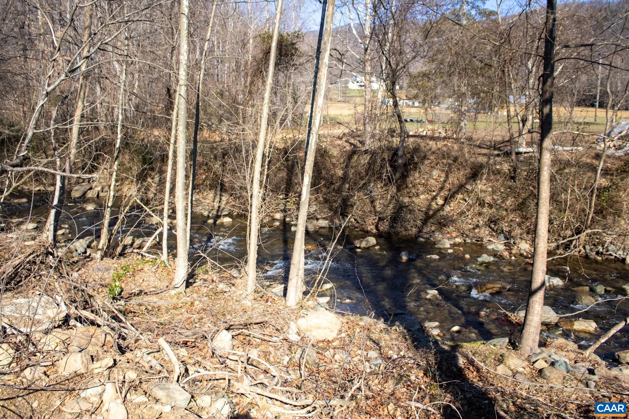 5 Brokenback Mountain Road Free Union, VA 22940 - Photo 4 of 9 a view of a yard of the trees