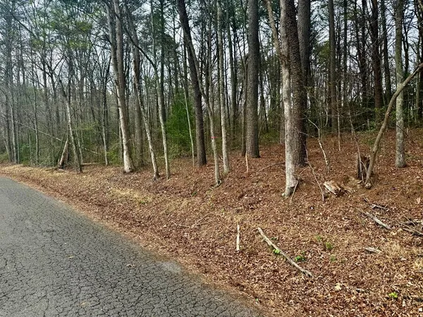 $65,000 | 0 Nicholson Circle, Turtletown, TN 37391