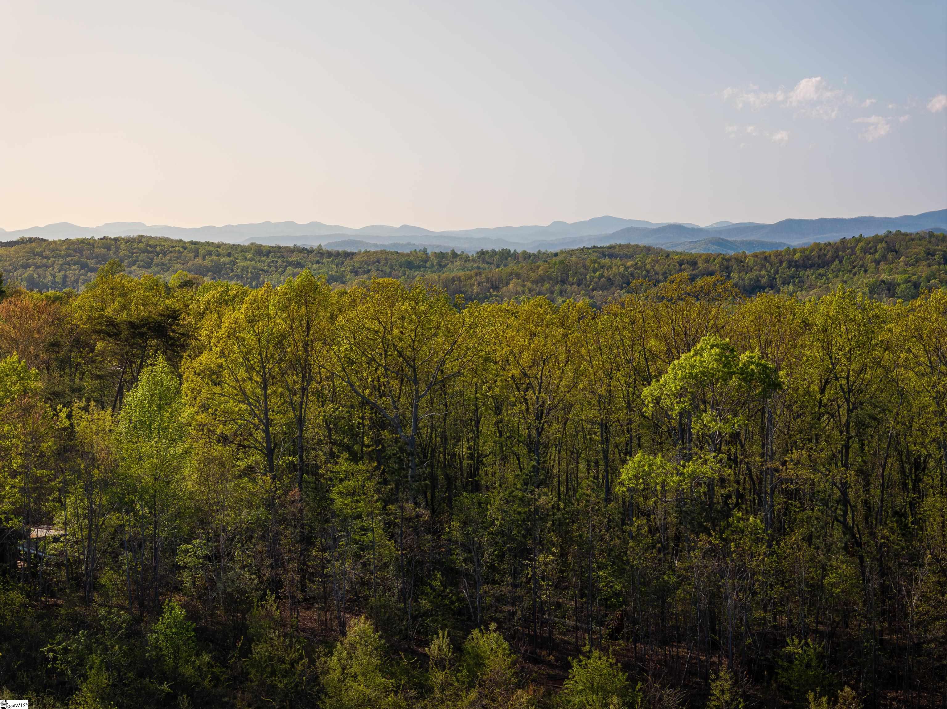 1 Hood Road, Unit LOT 1 Easley, SC 29640 - Photo 33 of 33