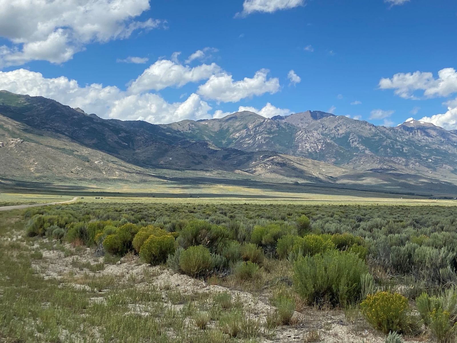 Tbd South Clover Valley Road Wells, NV 89835 - Photo 13 of 13