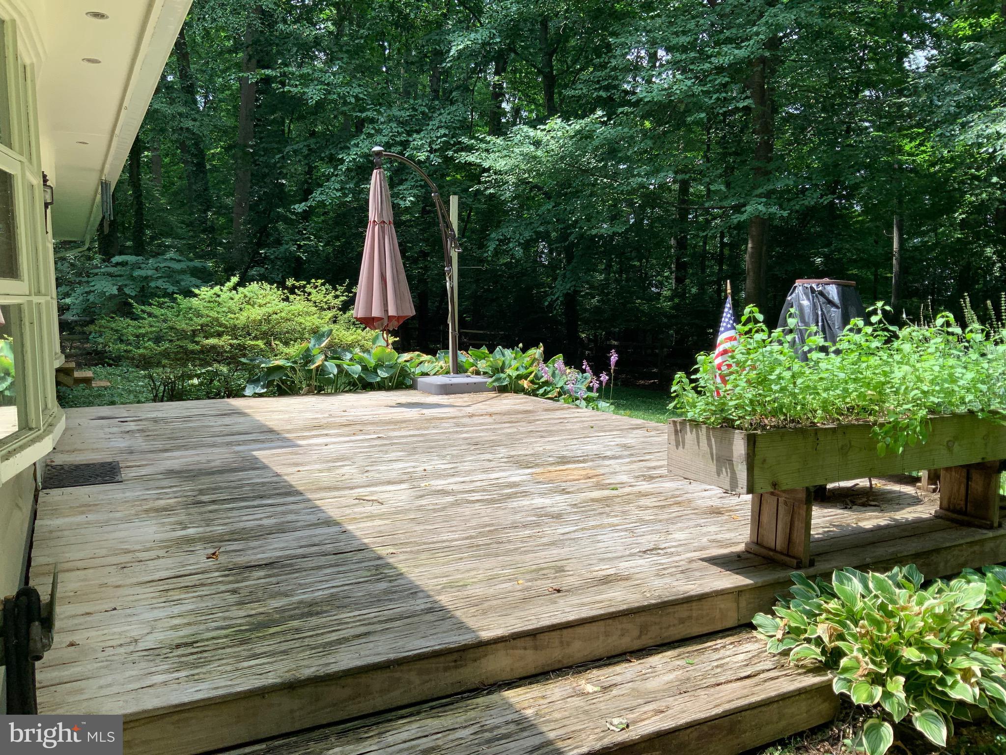 413 Fruit Farm Road Royersford, PA 19468 - Photo 7 of 40