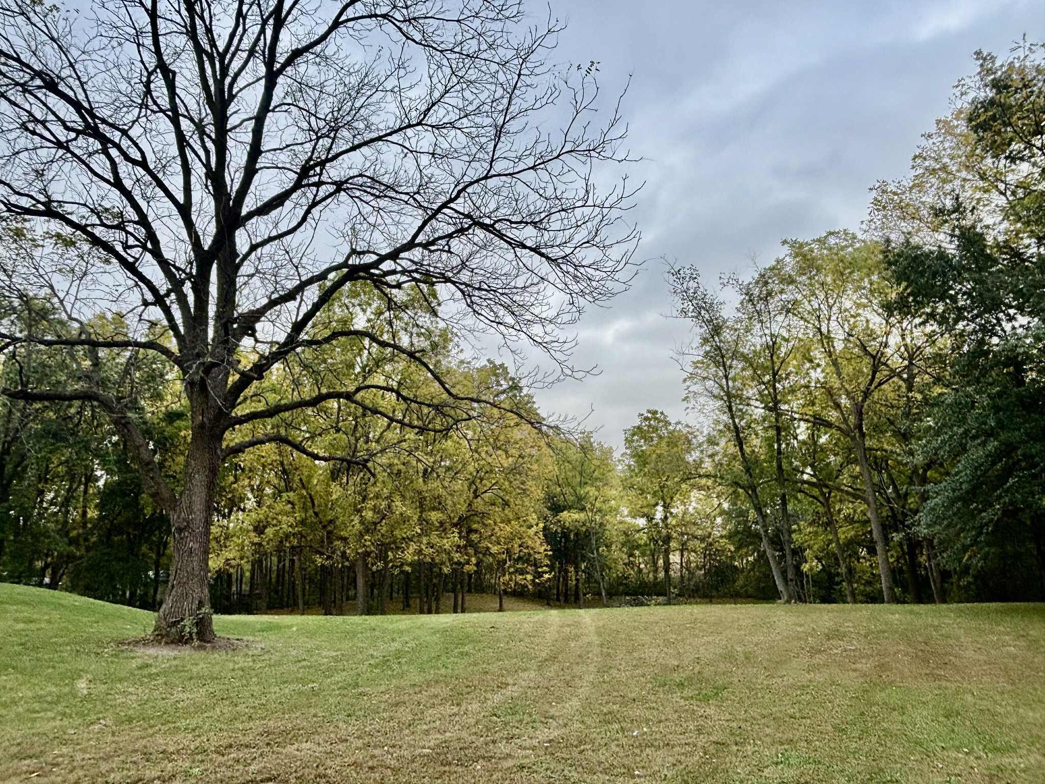 763 West 900 South Hebron, IN 46341 - Photo 21 of 27 a view of a yard with a trees