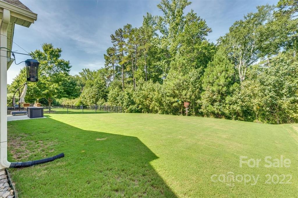 119 Annatto Way Tega Cay, SC 29708 - Photo 36 of 48 Gallery Image 36