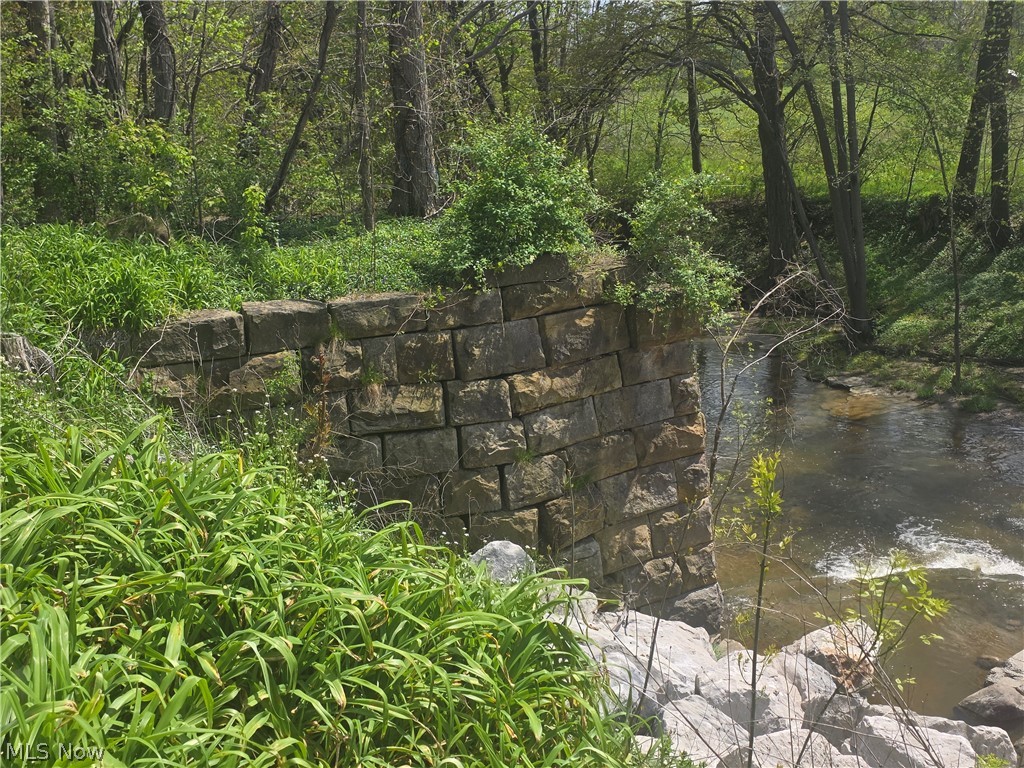 Swine Creek Road Middlefield, OH 44062 - Photo 2 of 20