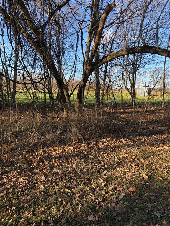 2220 North Olive Church Road Paragon, IN 46166 - Photo 20 of 21