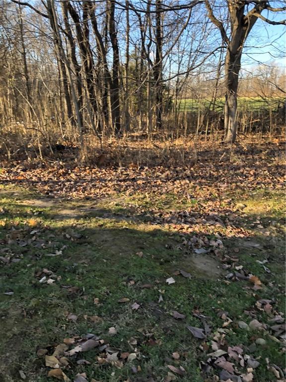 2220 North Olive Church Road Paragon, IN 46166 - Photo 21 of 21