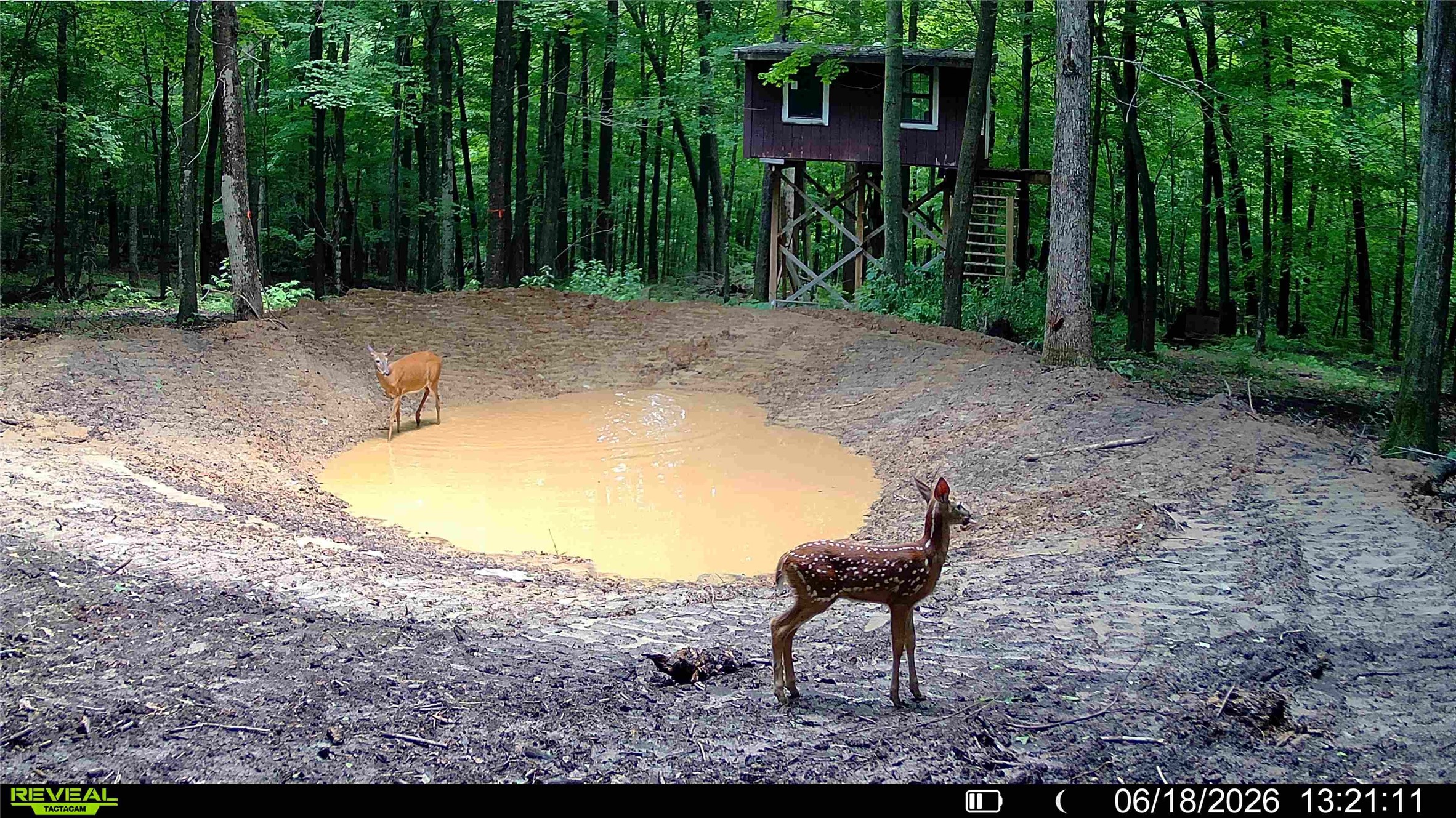 Xx County Rd Q Downing, WI 54734 - Photo 1 of 45