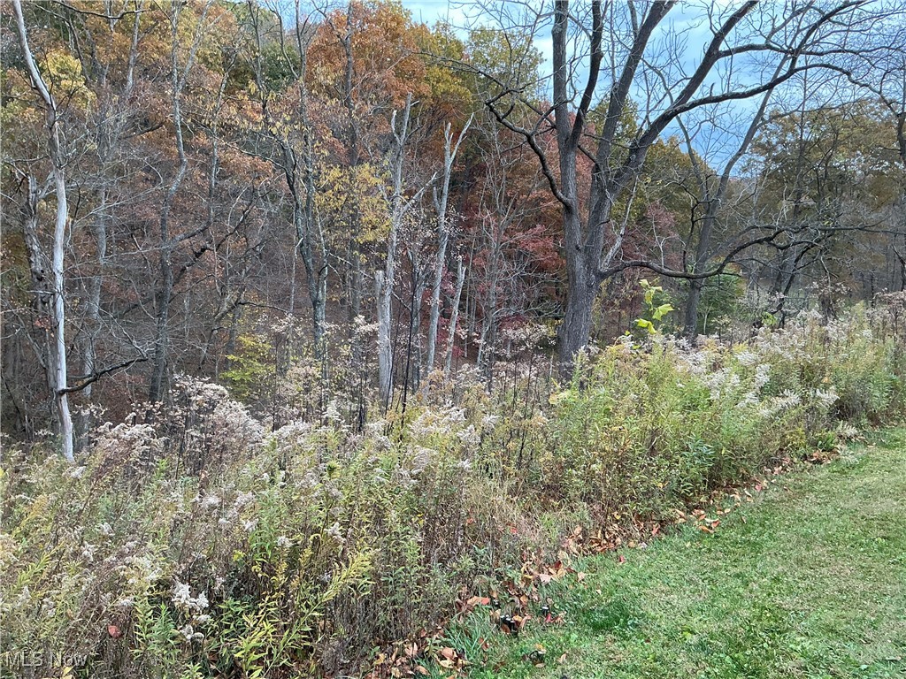 10550 Symmes Creek Road Adamsville, OH 43802 - Photo 20 of 21 View of woods
