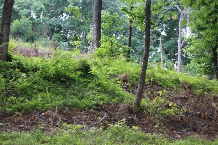 26-27 Cherokee Road Lucas, KY 42156 - Photo 21 of 46 Gallery Image 21