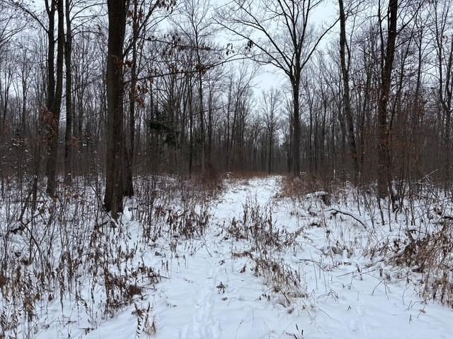 On On Outlaw Road Medford, WI 54451 - Photo 2 of 4 Gallery Image 2