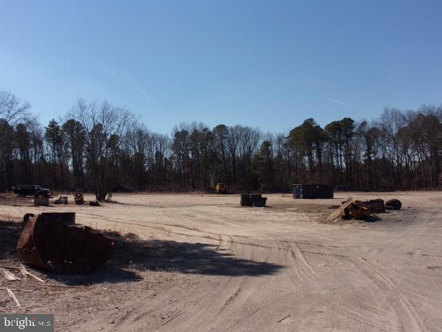 313 Tansboro Road Berlin, NJ 08009 - Photo 5 of 11