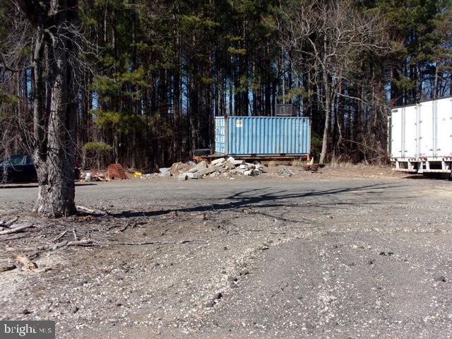 313 Tansboro Road Berlin, NJ 08009 - Photo 8 of 11 a view of a backyard with large trees