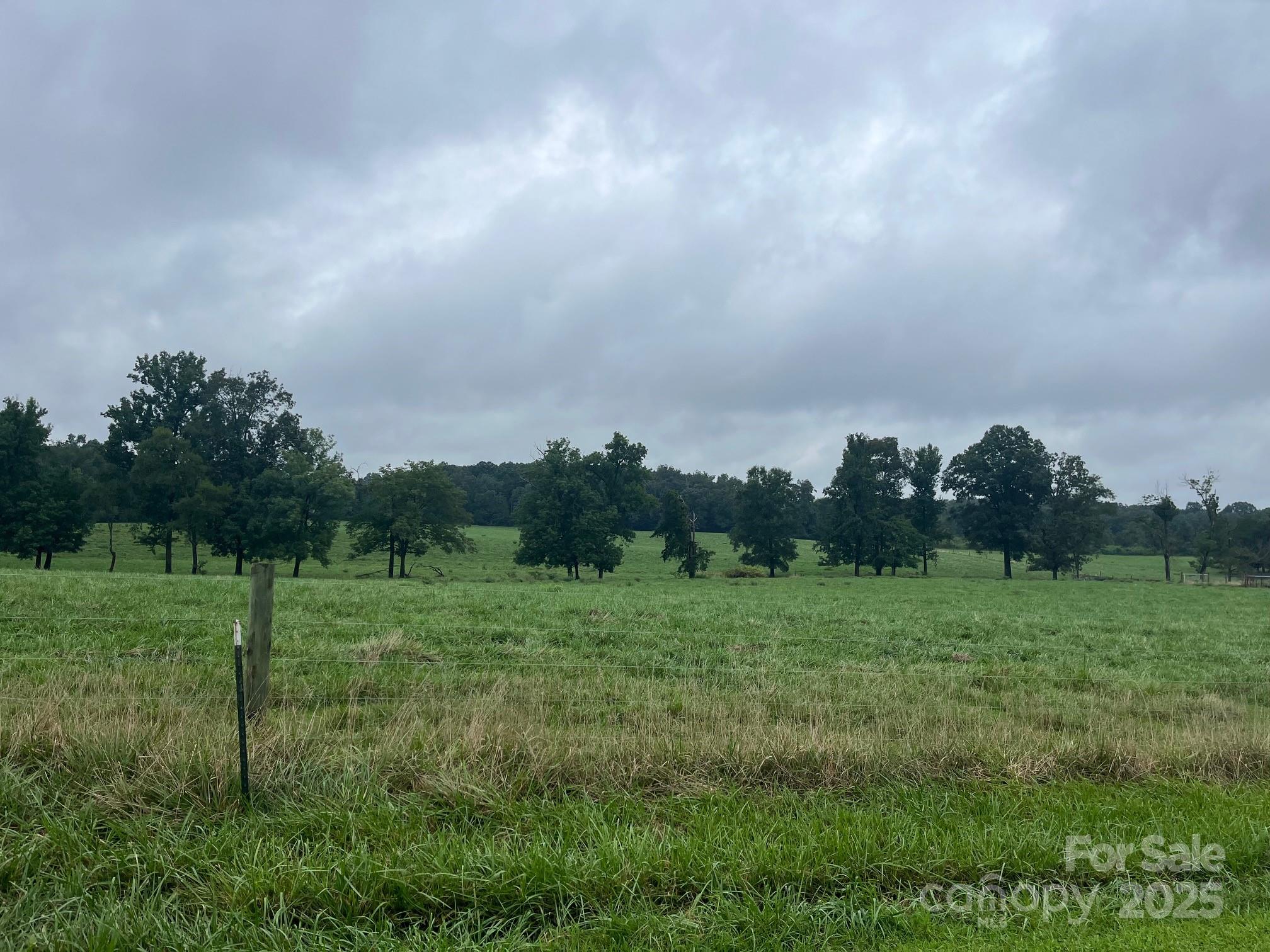 0 Thanny Helms Road Peachland, NC 28133 - Photo 2 of 12 a view of a grassy field with trees in the background