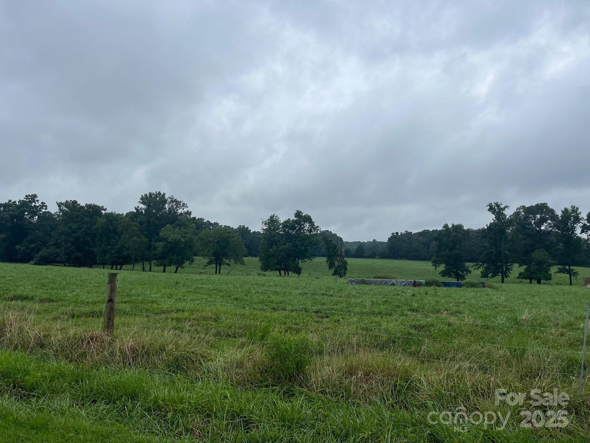 0 Thanny Helms Road Peachland, NC 28133 - Photo 4 of 12 a view of a grassy field