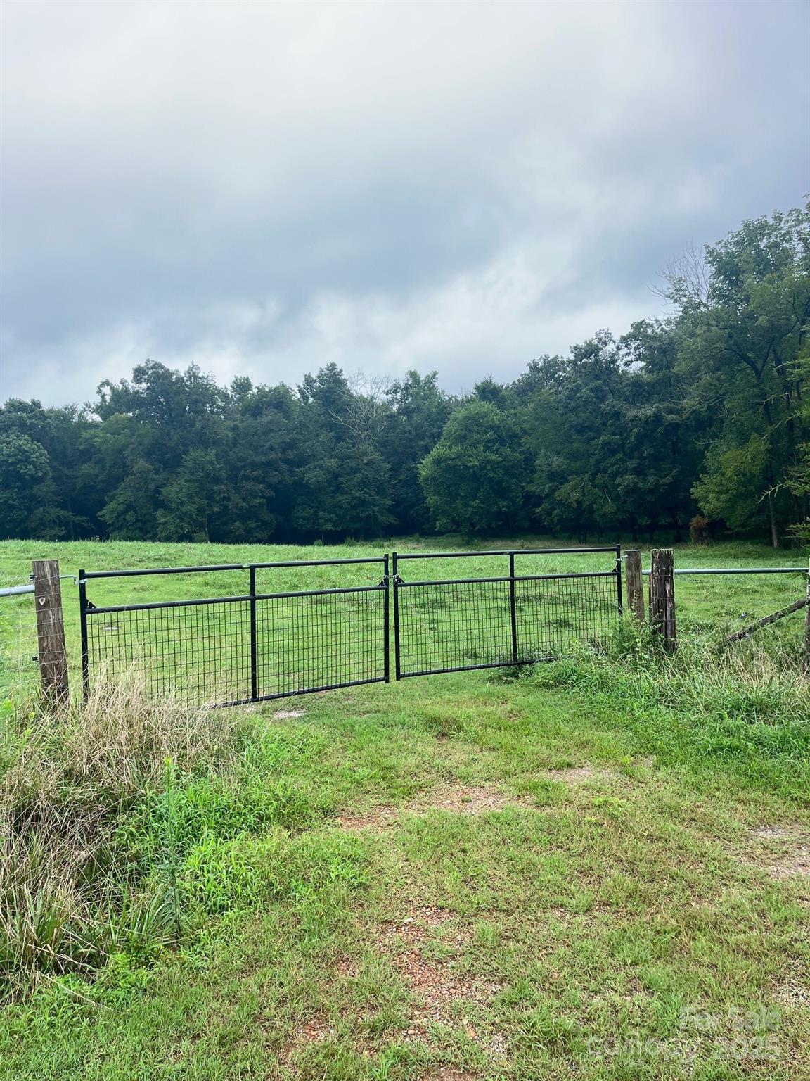 0 Thanny Helms Road Peachland, NC 28133 - Photo 7 of 12 a view of a park