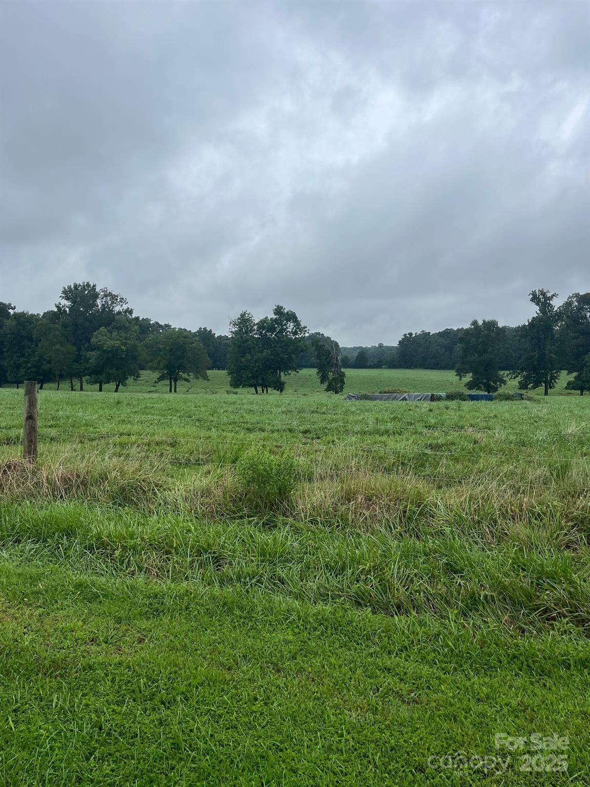0 Thanny Helms Road Peachland, NC 28133 - Photo 8 of 12 a view of a grassy field with trees