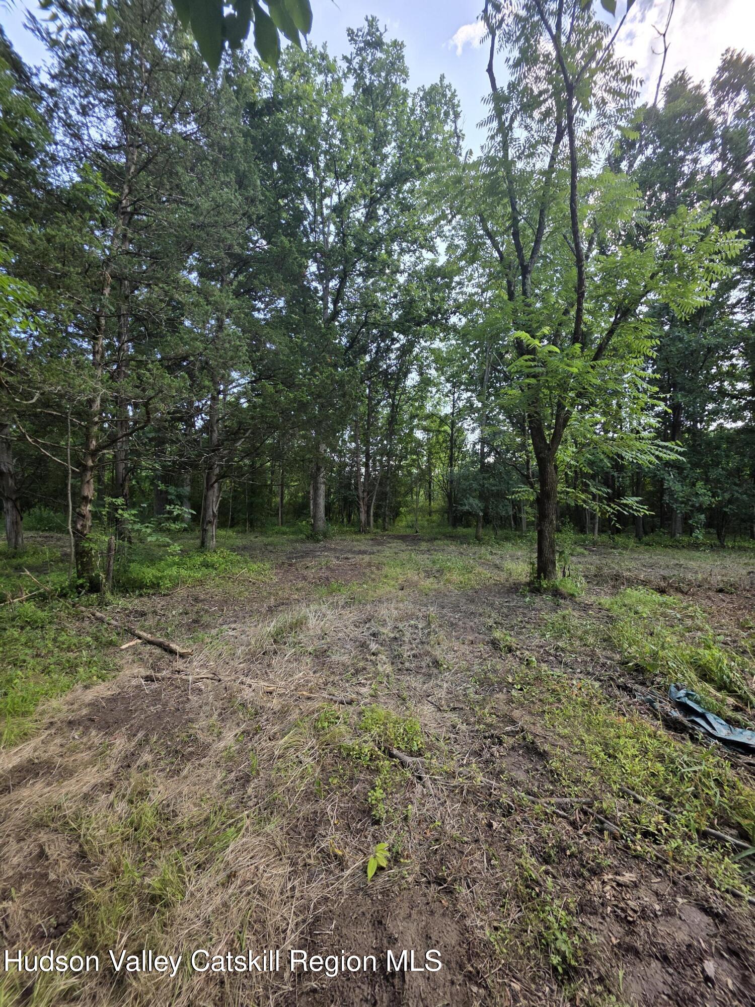 165 West Camp Road Saugerties, NY 12477 - Photo 10 of 22 20260708_163537