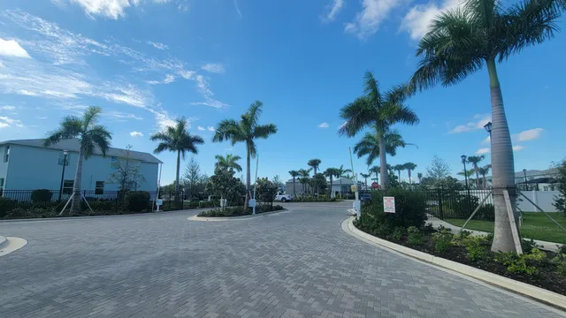 a view of a park along palm trees