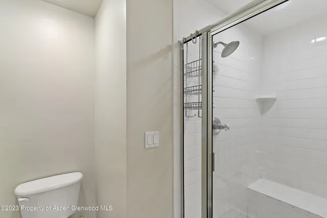 $8,500 | 408 Meadow Court, Basalt, CO 81621