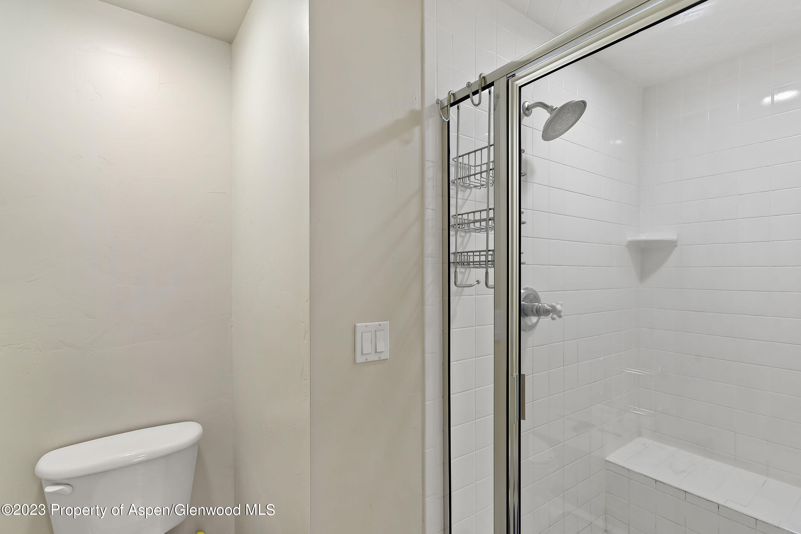 408 Meadow Court Basalt, CO 81621 - Photo 17 of 31 408Meadow_DASH_210902016