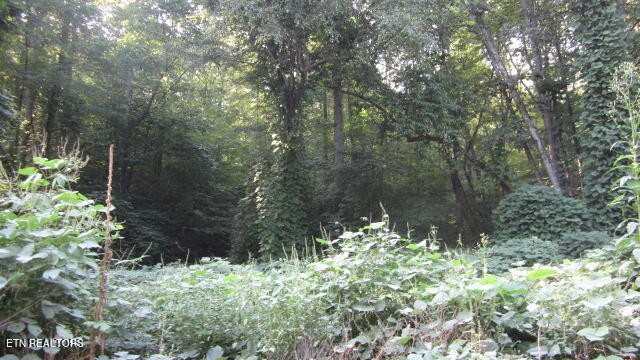 1 Snake Hollow Road Sneedville, TN 37869 - Photo 13 of 17 Gallery Image 13