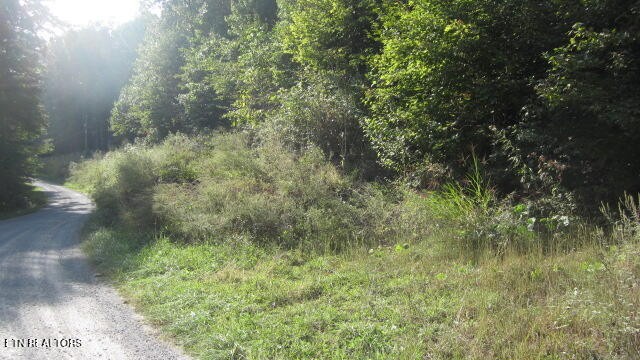 1 Snake Hollow Road Sneedville, TN 37869 - Photo 16 of 17 Gallery Image 16