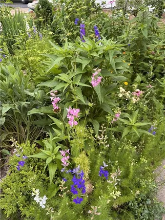 $179,000 | 923 Cherokee Street, Humboldt, KS 66748