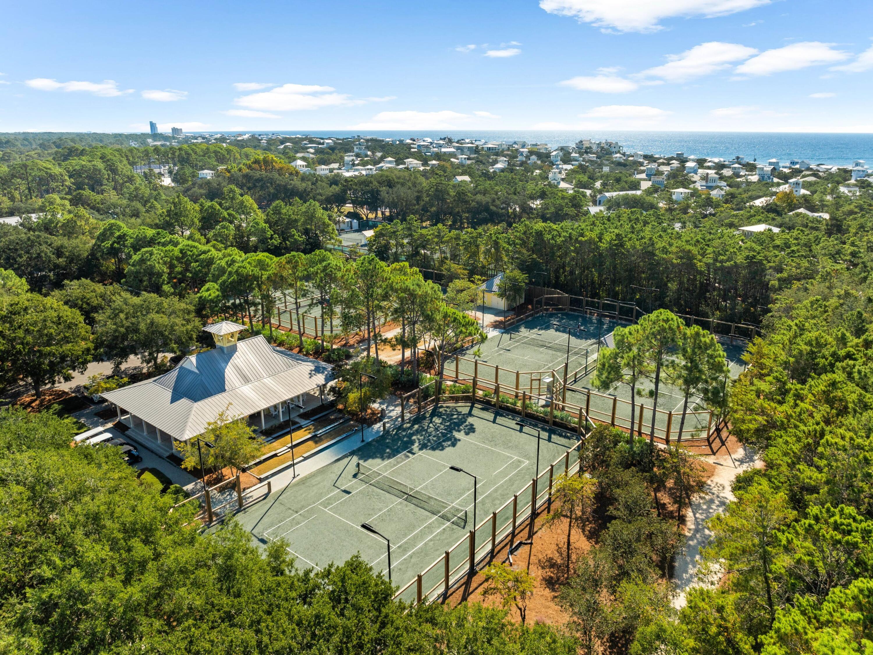 26 Rain Lily Lane Santa Rosa Beach, FL 32459 - Photo 45 of 45 an aerial view of a house with a garden