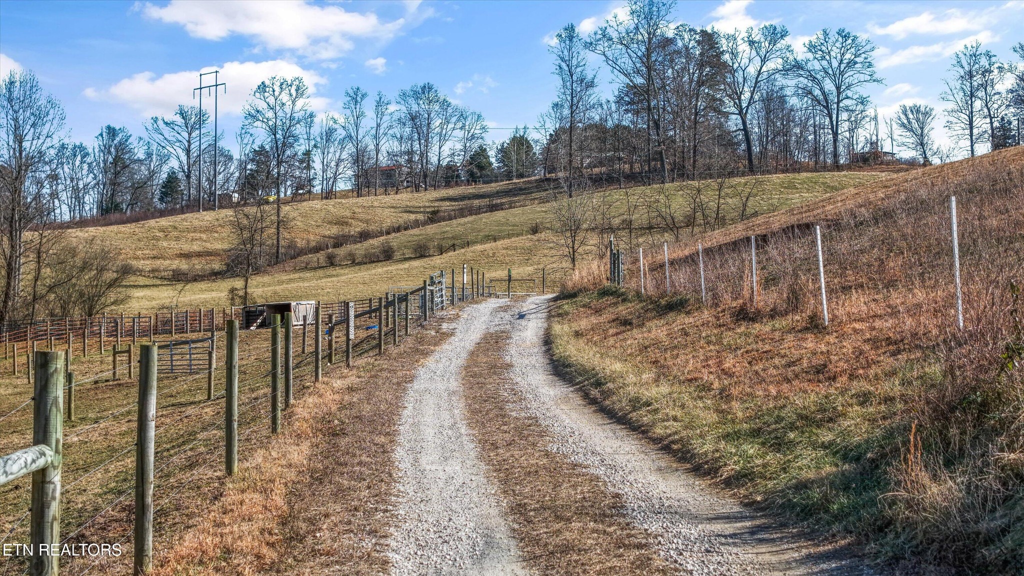 1914 Pleasant Ridge Road La Follette, TN 37766 - Photo 28 of 34 Gallery Image 28