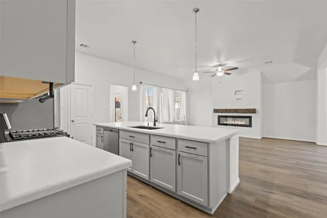 a kitchen with a sink a stove and cabinets