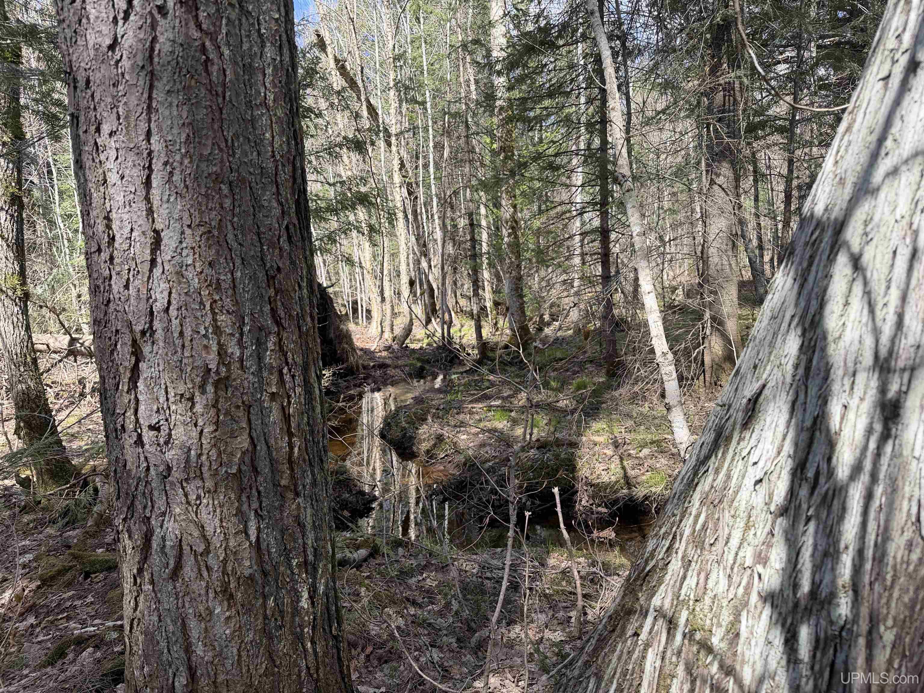 Off Black River Road Ironwood, MI 49938 - Photo 20 of 31