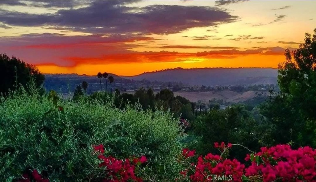 25222 Del Rio Laguna Niguel, CA 92677 - Photo 9 of 37