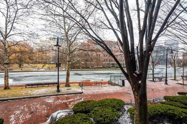 a view of a yard with trees