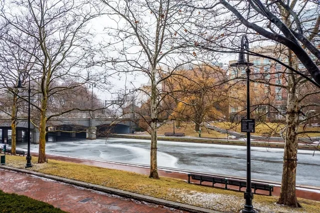 a view of a yard with trees