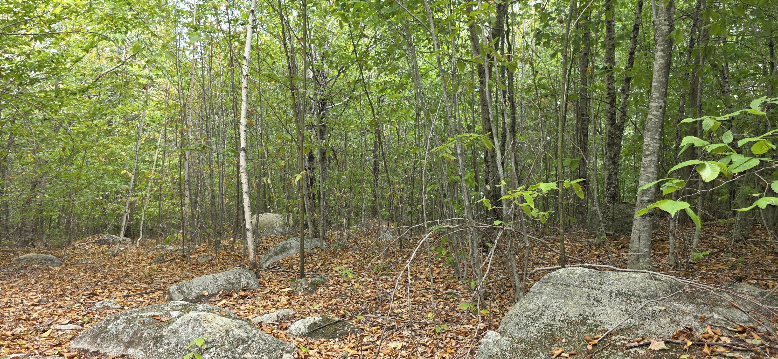 52 High Ridge Road Norway, ME 04268 - Photo 3 of 4 20250824_133942