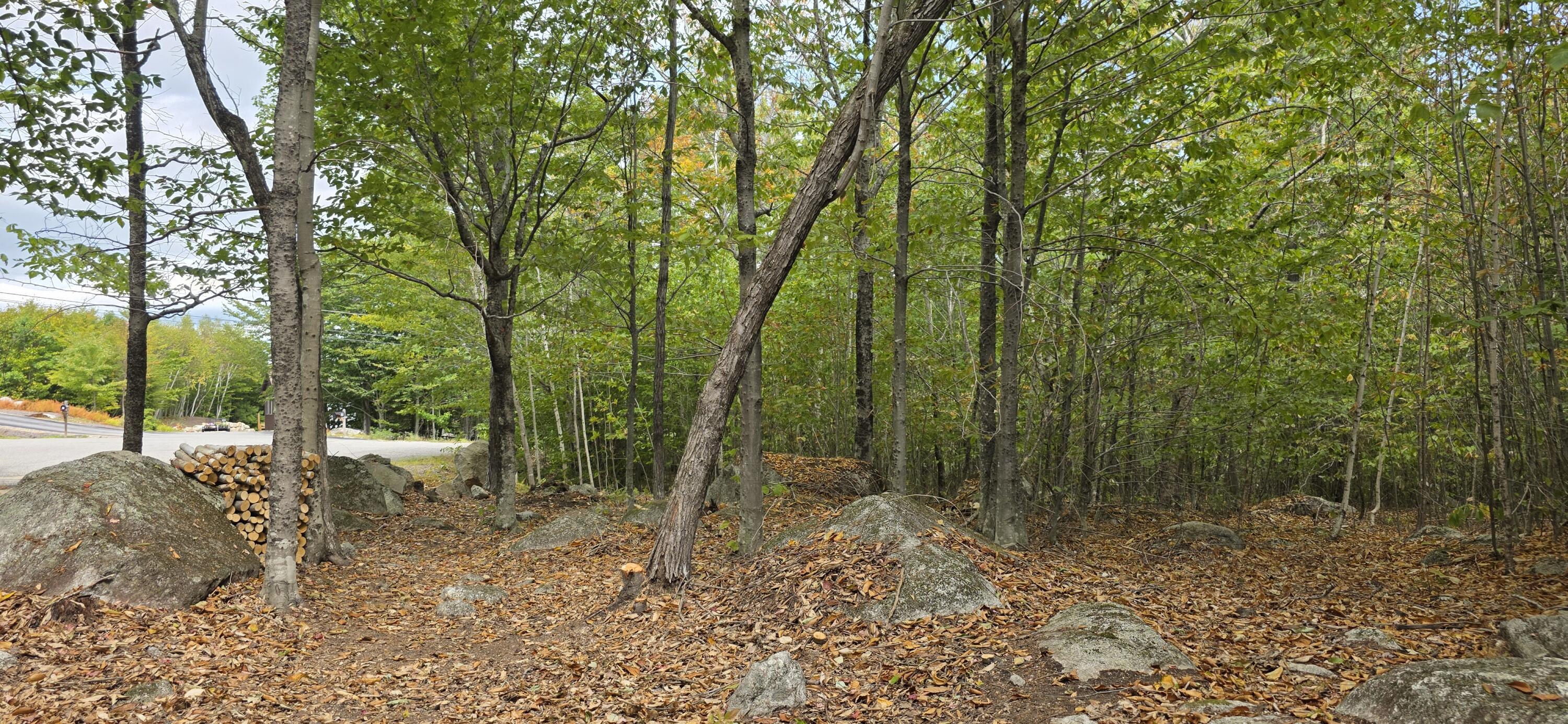 52 High Ridge Road Norway, ME 04268 - Photo 4 of 4 20250824_133948