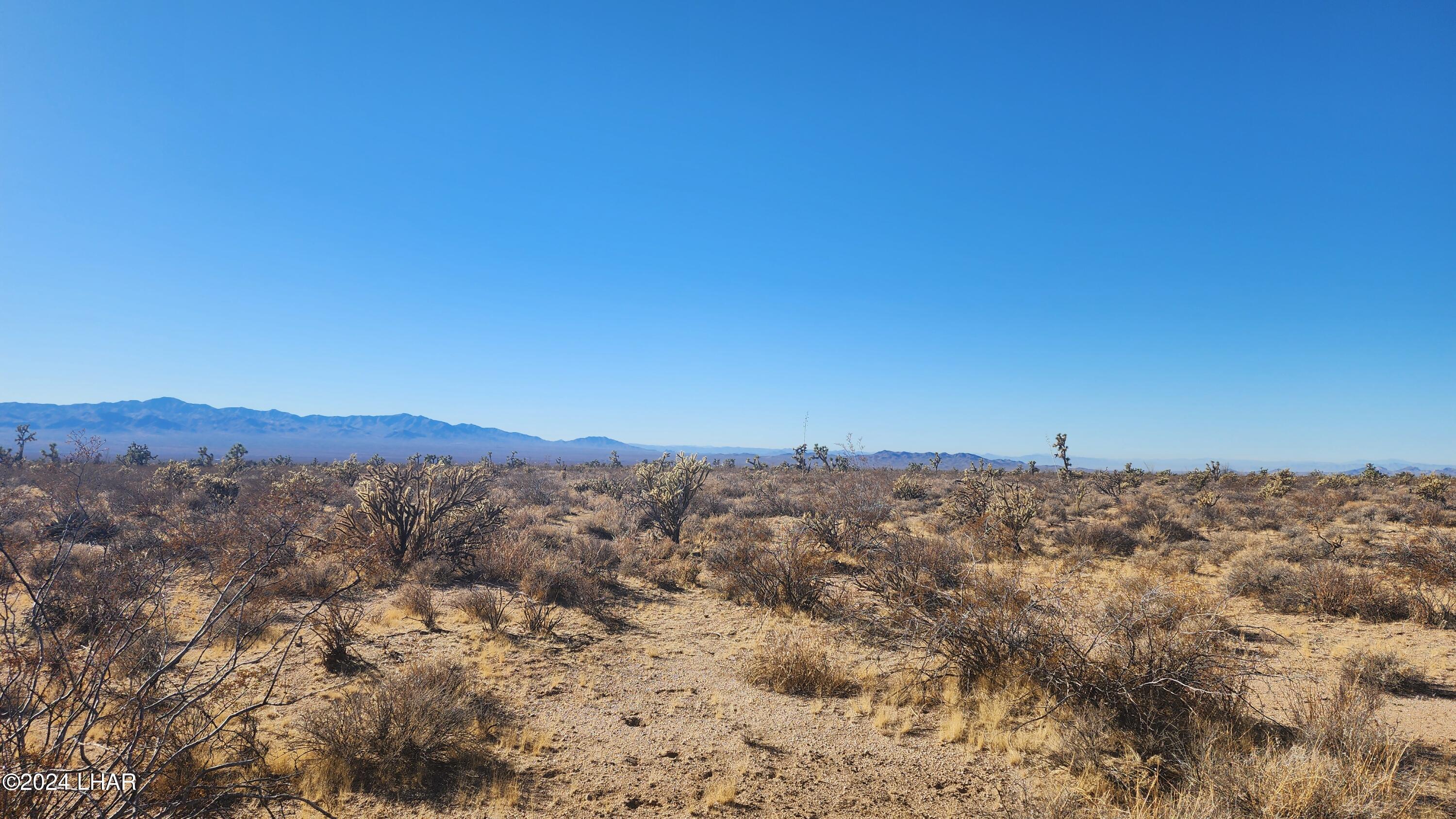 2521 South Kit Carson Road Yucca, AZ 86438 - Photo 2 of 27 Parcel 2521B West view