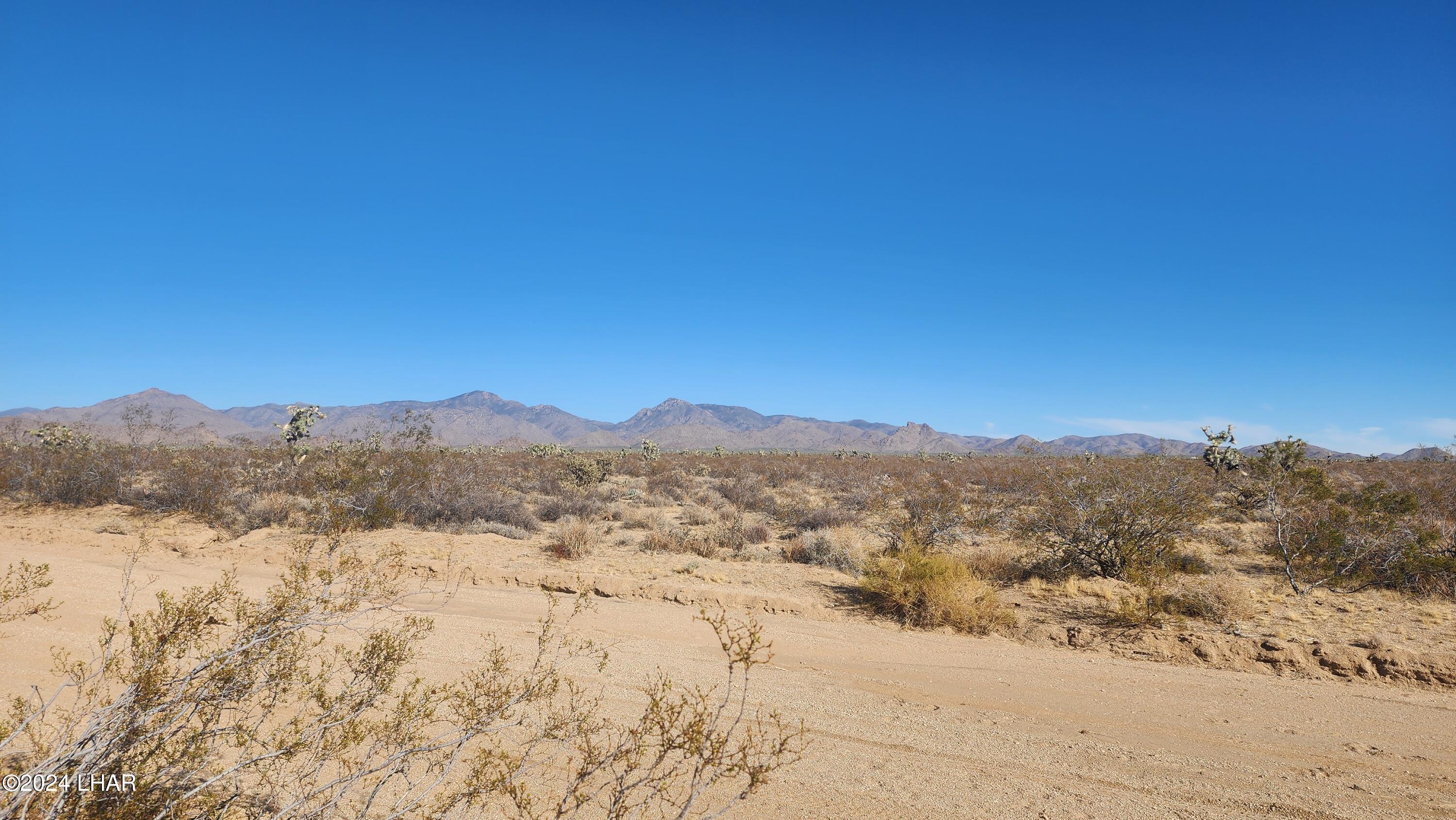2521 South Kit Carson Road Yucca, AZ 86438 - Photo 5 of 27 20231228_141225