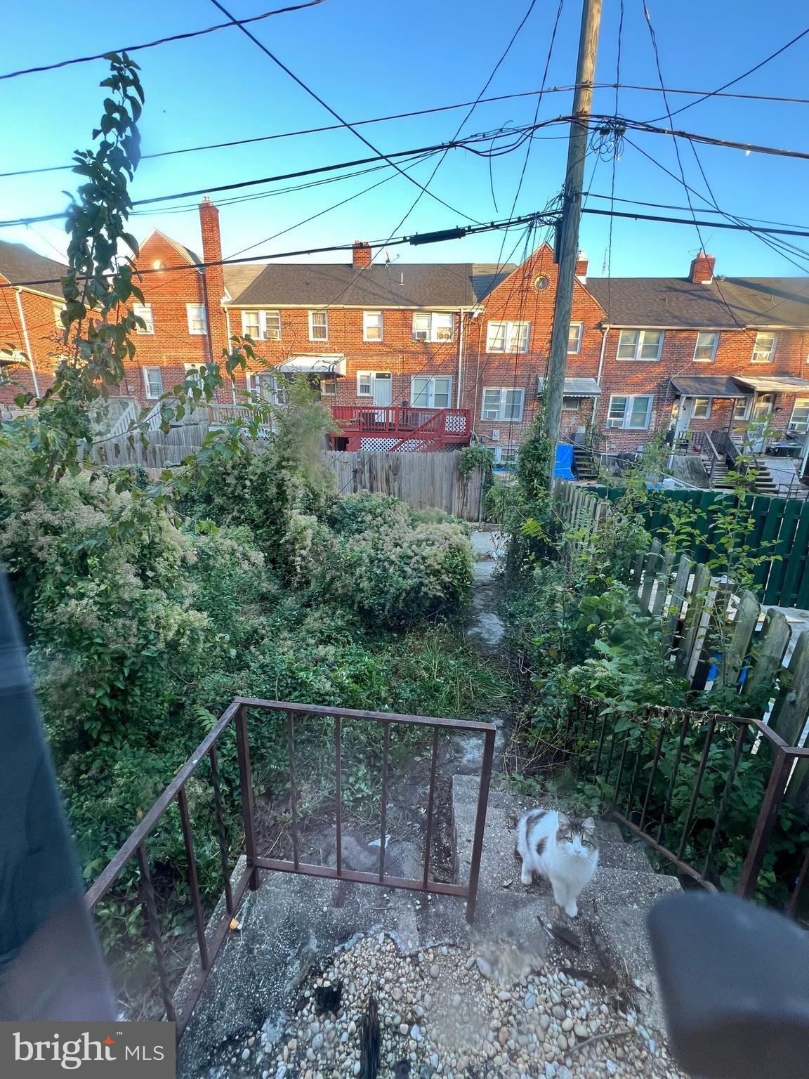 3421 St Ambrose Avenue Baltimore, MD 21215 - Photo 21 of 64 a view of a patio with a table and chairs under an umbrella