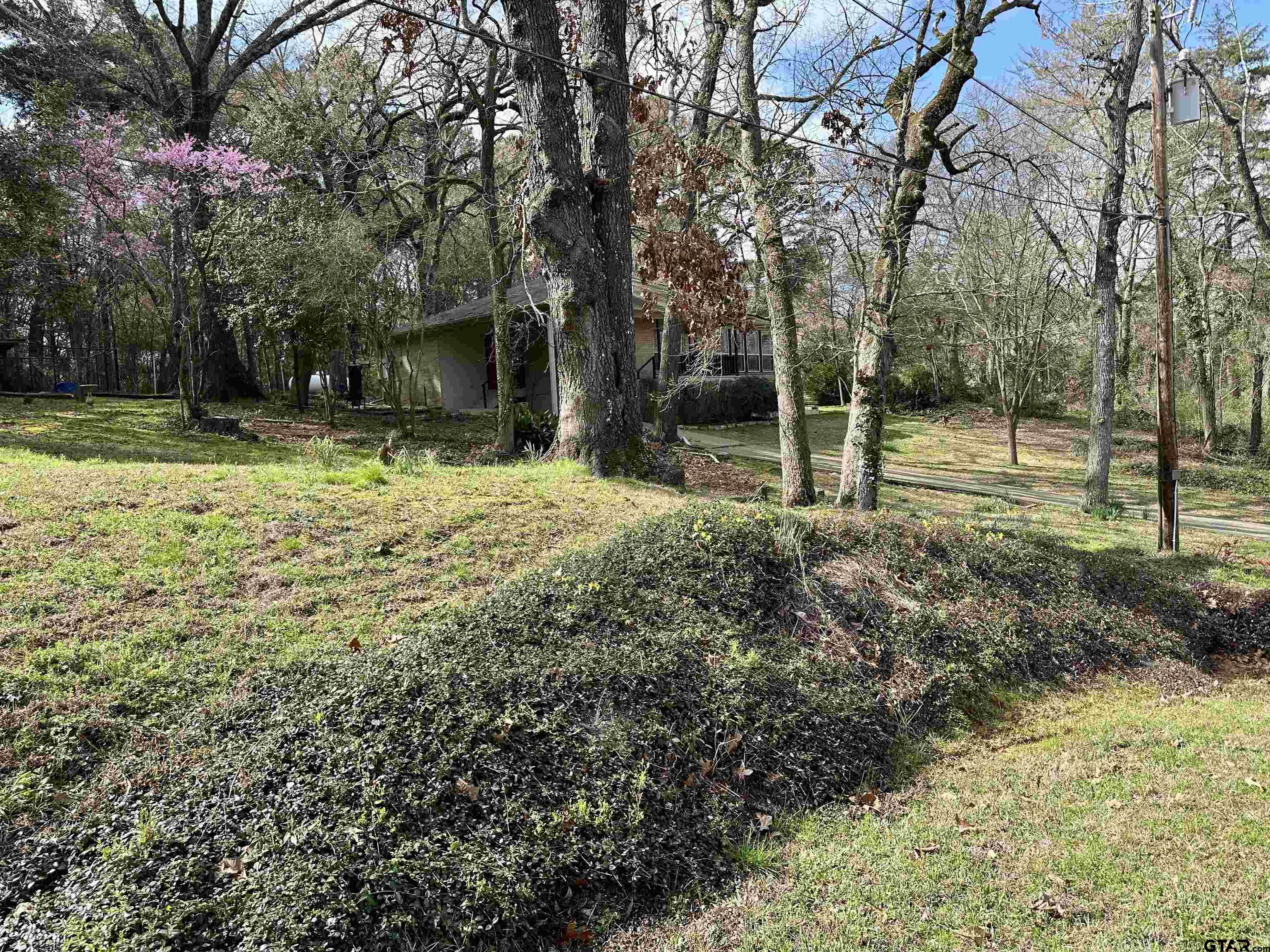 17035 Deer Run Road Flint, TX 75762 - Photo 28 of 31 a backyard of a house with lots of green space