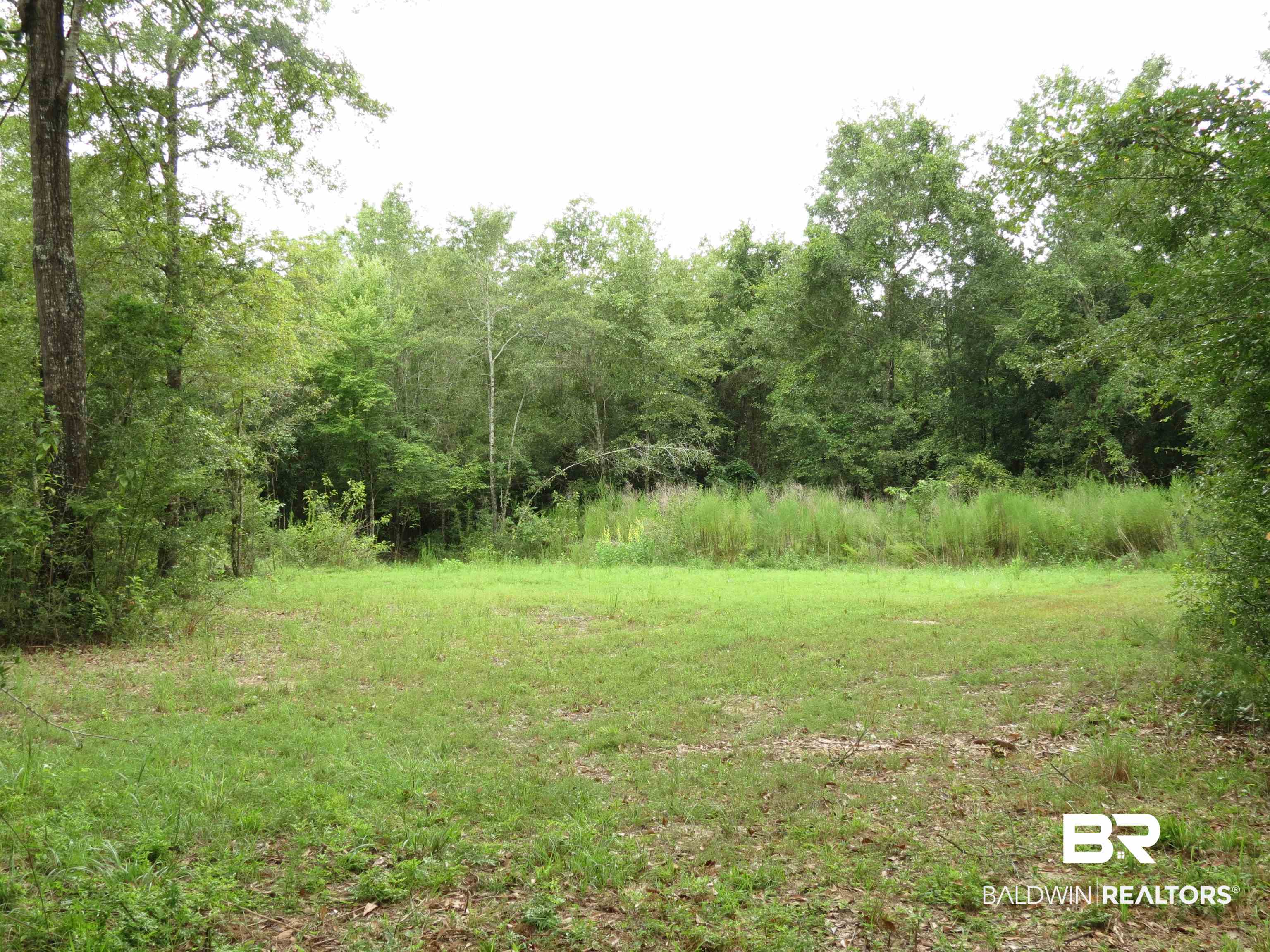 1045 Poole Road Castleberry, AL 36432 - Photo 7 of 27 Poole Road