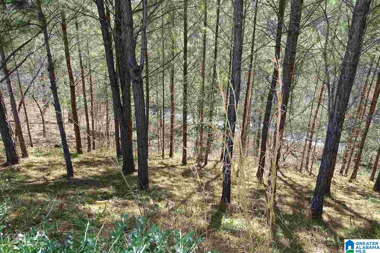 5338 Creekside Loop Birmingham, AL 35244 - Photo 25 of 25