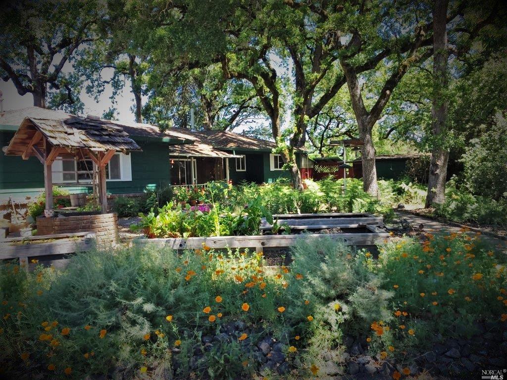 1491 Mattei Court Santa Rosa, CA 95401 - Photo 1 of 1 This picture was taken in the spring by the owner to share what this yard can look like! One could while away many hours planting and harvesting in the plentiful garden beds underneath the beautiful heritage oak trees!