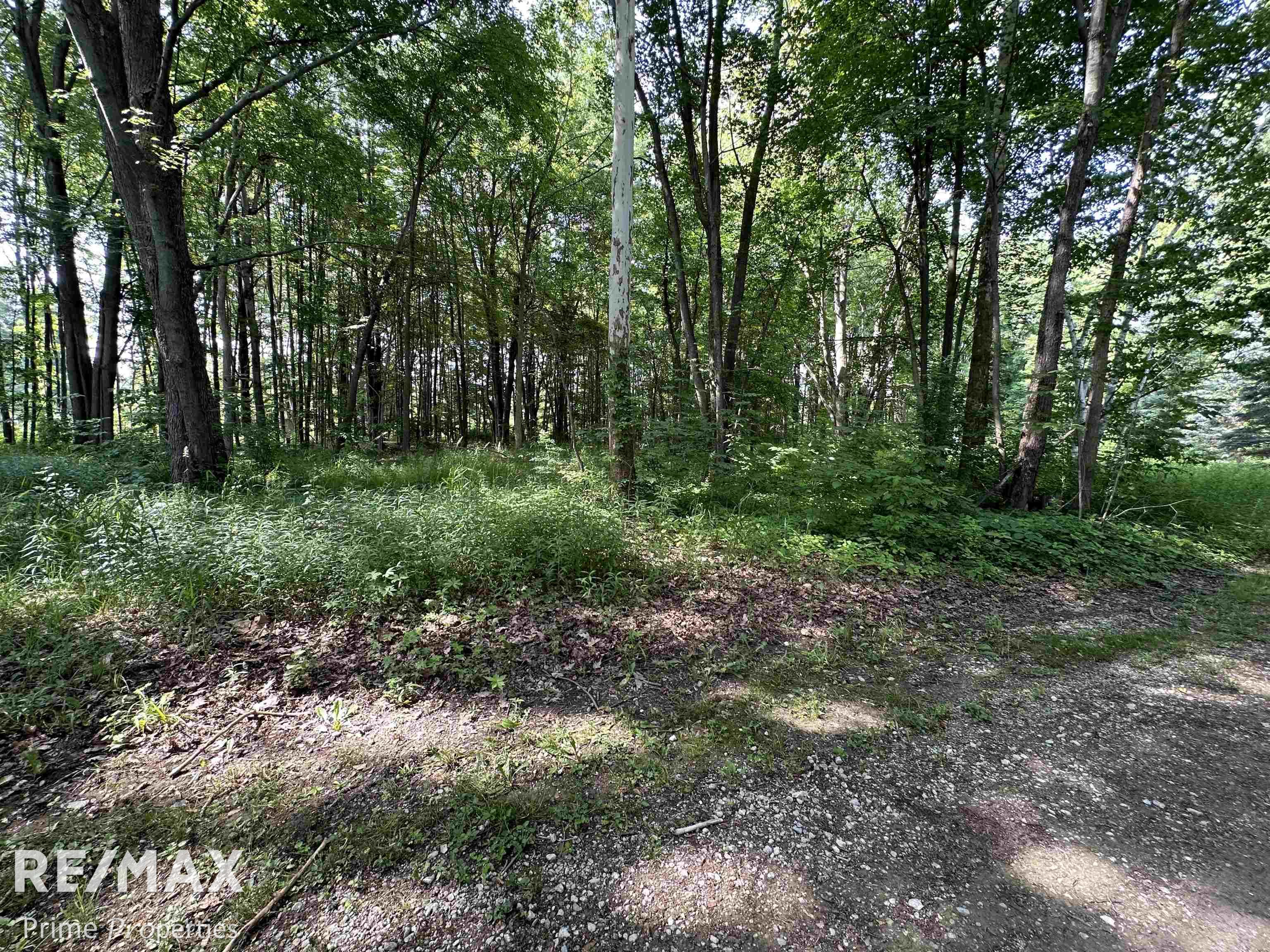 11515 Gera Road Birch Run, MI 48415 - Photo 59 of 96 50112851-59.JPG