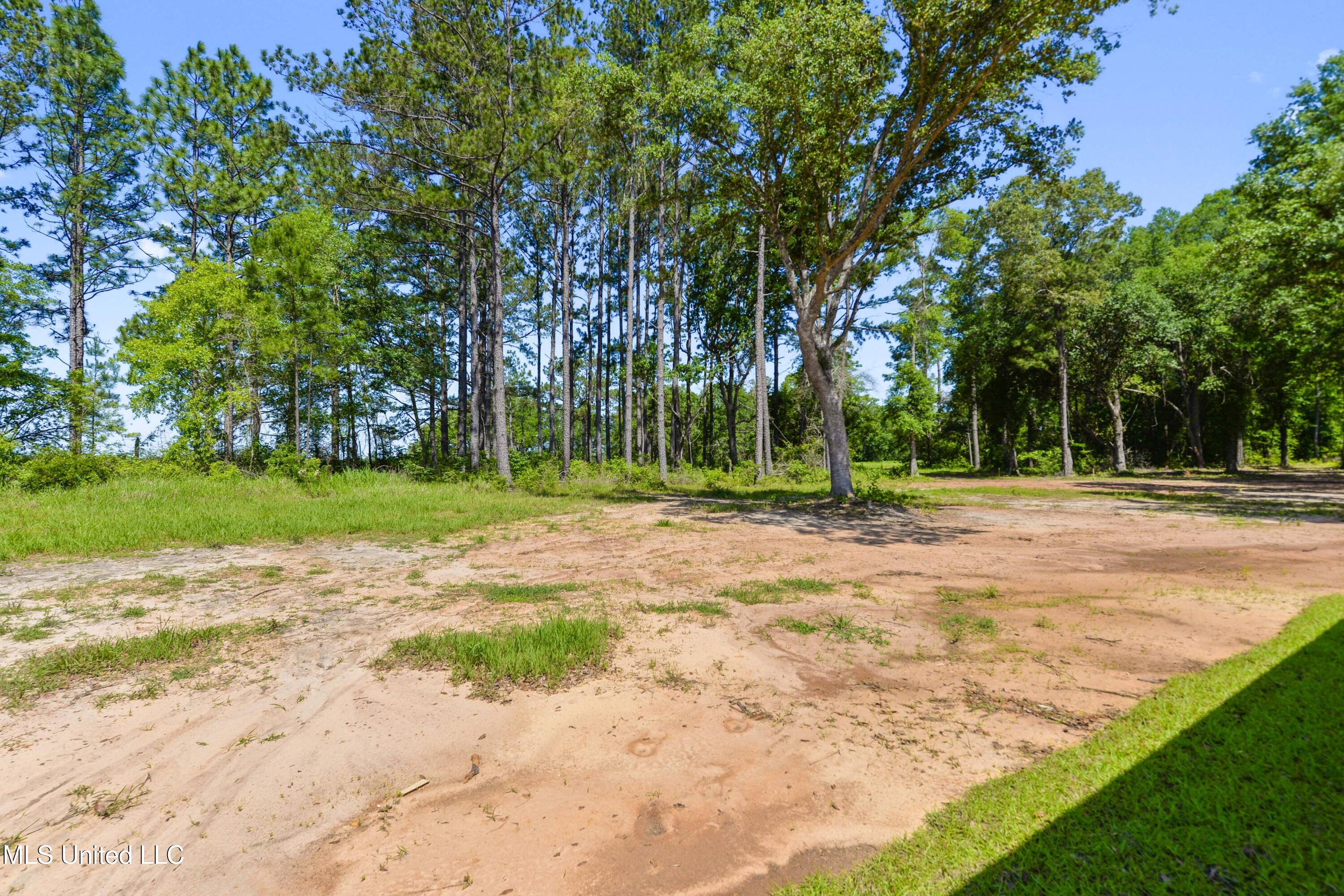 196 Webb Davis Road Lucedale, MS 39452 - Photo 18 of 22 020
