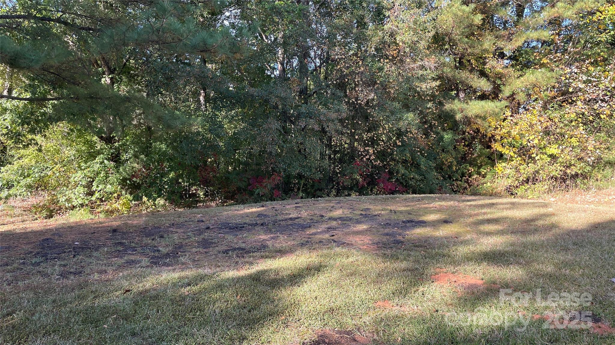 1010 Ashbin Court Fort Mill, SC 29707 - Photo 23 of 23 a view of a yard with a tree