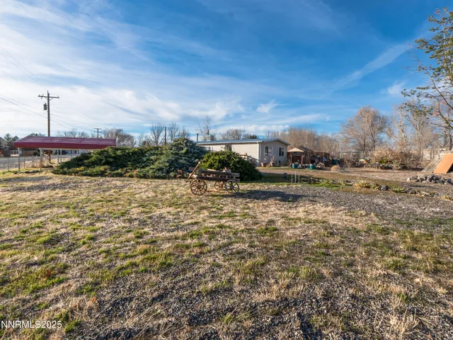 a view of a yard with plants